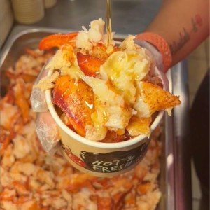 Maine Lobster Claw And Knuckle Meat - Free Express Shipping Included - 2 Lbs. Premium Quality Pre-Shelled Cooked and Flash-Frozen Lobster Meat