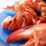 Maine Lobster Claw And Knuckle Meat - Free Express Shipping Included - 2 Lbs. Premium Quality Pre-Shelled Cooked and Flash-Frozen Lobster Meat