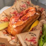 Maine Lobster Claw And Knuckle Meat - Free Express Shipping Included - 2 Lbs. Premium Quality Pre-Shelled Cooked and Flash-Frozen Lobster Meat