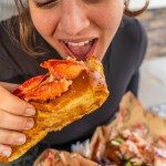 Maine Lobster Claw And Knuckle Meat - Free Express Shipping Included - 2 Lbs. Premium Quality Pre-Shelled Cooked and Flash-Frozen Lobster Meat