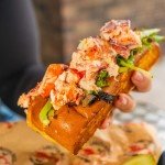 Maine Lobster Claw And Knuckle Meat - Free Express Shipping Included - 2 Lbs. Premium Quality Pre-Shelled Cooked and Flash-Frozen Lobster Meat