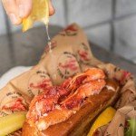 Maine Lobster Claw And Knuckle Meat - Free Express Shipping Included - 2 Lbs. Premium Quality Pre-Shelled Cooked and Flash-Frozen Lobster Meat