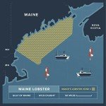 Maine Lobster Now - 2 Pounds Fresh Tail, Claw & Knuckle Lobster Meat "TCK"