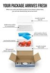 Maine Lobster Now: 2lb Live Maine Lobster (2 Pack)