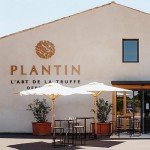 Plantin - Black Winter Truffle Whole (Extra Brushed, 1st Boiling) 1oz Glass Jar