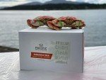 Whole Cooked Dungeness Crab (4 Pack)
