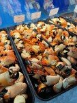 Stone Crab Claws Jumbo Fresh Florida 2 LB