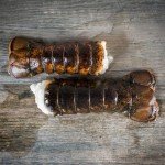 8 oz Maine Lobster Tails (6 Tails)