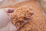 Dried Japanese Seafood Small Juvenile Prawns Shrimps Acetes 日本蝦皮 蝦苗 虾皮 (8oz)