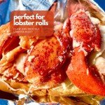 Domestic Seafood Lobster Meat - 4 Pounds (4 lbs) Cooked Fresh Frozen Cold Water Claw and Knuckle Lobster Meat from Maine - Rich in Protein, Omega-3, Vitamins, and Minerals