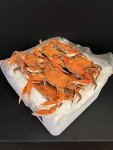 Chesapeake Crab Connection - Fresh Blue Crabs - 1 Dozen "Large" Male (Measuring 6" - 6.5" Point To Point) - Infused With Classic Maryland Style Old Bay Crab Seasoning - Filled With Lump Crab Meat - Perfect For A Crab Boil Or Fresh Seafood Feast