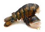 Maine Cold Water Lobster Tails | 6 Pieces (8-10 oz Each) | Harvested from the Icy Waters off the Coast of Maine | Fresh Lobster | Premium Seafood | All Fresh