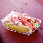 Maine Lobster CNK Meat | Fully Cooked Ready to Eat Claw and Knuckle Meat | Sustainably Wild-Caught American Lobster | Hand Picked Fresh Flash Frozen and Sealed (1 Pound (16 ounce) / 454g)
