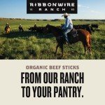 Ribbonwire Ranch Beef Jerky Snack Sticks - Made with Organic Beef, Pasture Raised, High Protein Snack - Healthy, Low Carb, Gluten-Free, Nitrate Free, Perfect for On-the-Go & Keto Diets (1 Count (Pack of 24), Original)