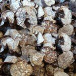 100% Wild Organic Black Truffle,Truffle Mushroom,Truffle,Black Truffle,Perigord Truffle,Truffe,truffe Noire,Tuber Melanosporum,perigord Truffle,heisonglu,Tuber Truffle (50grams)