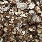 100% Wild Organic Black Truffle,Truffle Mushroom,Truffle,Black Truffle,Perigord Truffle,Truffe,truffe Noire,Tuber Melanosporum,perigord Truffle,heisonglu,Tuber Truffle (50grams)
