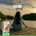 Ostrim Meat Sticks (14) - High Protein, Low Carb, Keto Friendly Jerky Snack - Grass-Fed Beef, Elk, Ostrich, Turkey & Chicken -Variety Box, Multi Flavor Assortment