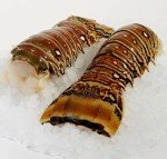 Galvin's Wholesale Lobster Tails, 4-5 Oz, Wild Caught in Canada, Pack of 2
