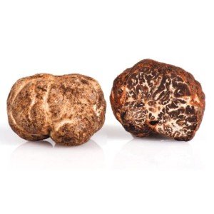 "Premium Fresh White Truffle Bianchetto (Tuber borchii vitt.) - 4 oz. | Authentic Truffle Delicacy | Exquisite Flavor and Aroma | Gourmet Culinary Ingredient"