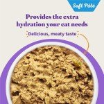 Halo Adult Wet Cat Food, Grain Free, Chicken Shrimp & Crab Stew 5.5oz Can (Pack of 12)