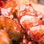 Today Gourmet Foods of NC - (2 lbs) Lobster Meat (Knuckle, Leg and Claw)