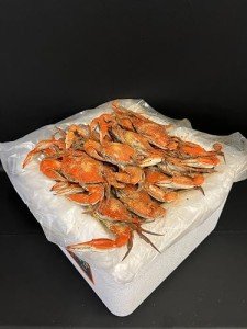 Chesapeake Crab Connection - Fresh Blue Crabs - 1 Dozen "Medium" Male (Measuring 5.5" - 6" Point To Point) - Infused With Classic Maryland Style Old Bay Crab Seasoning - Filled With Lump Crab Meat - Perfect For A Crab Boil Or Fresh Seafood Feast