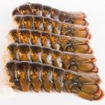 Today Gourmet Foods of NC- Maine Lobster Tails 12/14oz Tails (4 Tails)
