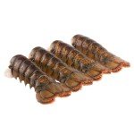 Today Gourmet Foods of NC- Maine Lobster Tails 12/14oz Tails (4 Tails)