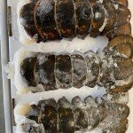 Today Gourmet Foods of NC- Maine Lobster Tails 12/14oz Tails (4 Tails)