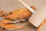 Steamed to Order Maryland Blue Crabs. Fast USA Shipping. Leading Provider Since 2001. Harbour House Crabs – 1 Dozen Premium Medium Hardshell (5 1/2 to 6 inches).