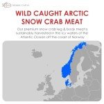 Nordic Catch Wild Arctic Snow Crab Meat, Crab Legs & Body with No Shell for Easy Preparation, 100% Wild-Caught Premium Leg & Body Meat - Fresh Caught, Cooked, & Frozen Seafood - 3 Pack (48 oz)