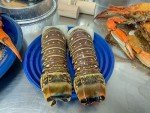 OCEANZEN:Brazil Premium 5-6oz Warm Water Lobster Tails - (4 Tails), Freshly Caught & Perfect for Gourmet Meals