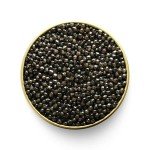 Masha Moro Premium American White Sturgeon Caviar, 1oz. / 28 gr. OVERNIGHT DELIVERY