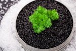 Bowfin Caviar - Choupique Roe - Wild American (4 ounce (113 grams))