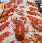 Maine Lobster Roll Kit | Makes 8 Rolls | Fresh Lobster Meat | Gourmet Seafood Delivered to Your Door | All Fresh