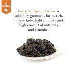 𝐁𝐄𝐒𝐓𝐒𝐄𝐋𝐋𝐄𝐑 KASPIAN Collection - Premium Osetra Sturgeon Black Caviar - 1.8 oz / 50 g in Metal Jar - Black Caviar with Classical Malossol Taste from Sturgeon Black Roe by Caviar d'Eden