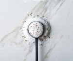 Savory Spice Italian Black Truffle Sea Salt - Gourmet Black Truffle Seasoning Salt from Italy | Robust Finishing Salt for Cooking, Popcorn Seasoning & More (Medium Jar - Net: 3.1 oz)