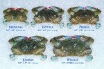 Raw Domestic Soft Shell Crabs (12 Ct. Jumbos) - Frozen 1291020