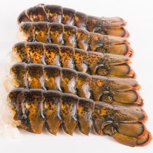 Today Gourmet- Maine Cold Water Lobster Tails 10oz-12oz (2 Tails)