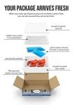 Maine Lobster Now - Maine Lobster Tails 8oz - 10oz (6 Tails)