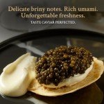 PETRUSCO Royal Ossetra - Premium Black Caviar - Fresh Gourmet Sturgeon Fish Roe in a Sealed Metal Tin 30g (1oz) - Rich, Buttery Flavor, Sustainably Sourced and Perfect for Fine Dining