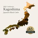 PETRUSCO Japanese A5 Wagyu Steak Meat – Premium Striploin Pasture-Raised Beef – Rich, Buttery Flavor & Melt-in-Your-Mouth Texture – Perfect for Sushi, Steak Nights, or Gourmet Dishes (1x16 Oz)