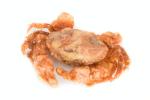 Pan-Sautéed Soft Shell Crab (Gluten-Free) | 18 Pc (Cooked) | Fresh Maryland Crab | Whole Fresh Crab | Fresh Seafood | All Fresh