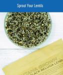 Black Lentils | Caviar or Beluga Lentils | 8 lbs (2-4 lb pack) | Non-GMO | Kosher | Vegan | Non-Irradiated