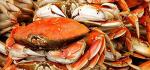 FRESH Cooked DUNGENESS CRABS (3 Large Crabs)