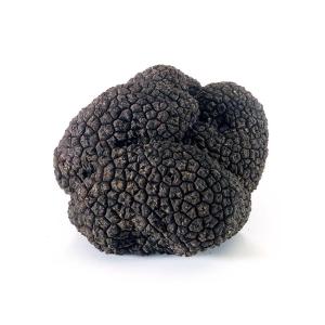 Fresh winter black truffles - Authentic Périgord Truffles, Premium Quality Gourmet Delicacy, Hand-Picked and Imported overnight from Italy. (2 Ounce)