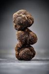 Fresh winter black truffles - Authentic Périgord Truffles, Premium Quality Gourmet Delicacy, Hand-Picked and Imported overnight from Italy. (2 Ounce)
