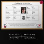 Butcher Barn - Grade A5 Japanese Wagyu Beef, New York Strip Steak Without Bone, Fresh Thick Cut, Two Portions of A5 Wagyu Steak, Skin-Packed 100% Authentic from Kagoshima Reserve - Great Gift (16 Ounce, ( Pack of 2), New Strip)