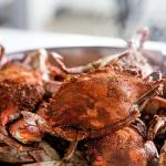 Jumbo Maryland Blue Crabs - Extra Large Jimmys