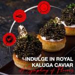 Olma Kaluga Black Caviar - Superior Grade 4.4 oz
